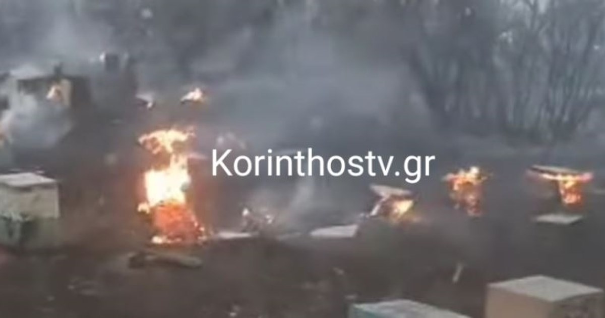 Αμόνι Κορινθίας: Τροχαίο με τρεις τραυματίες - Το αυτοκίνητο βγήκε από την πορεία του και έπεσε σε δέντρα - εικόνα 2