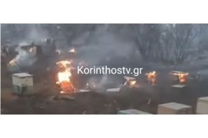 Αμόνι Κορινθίας: Τροχαίο με τρεις τραυματίες - Το αυτοκίνητο βγήκε από την πορεία του και έπεσε σε δέντρα - εικόνα 2