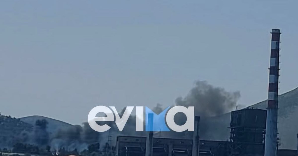 Τραγωδία στην Εύβοια: 82χρονη εντοπίστηκε νεκρή στην παραλία Πευκί - εικόνα 2