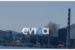 Τραγωδία στην Εύβοια: 82χρονη εντοπίστηκε νεκρή στην παραλία Πευκί - εικόνα 2