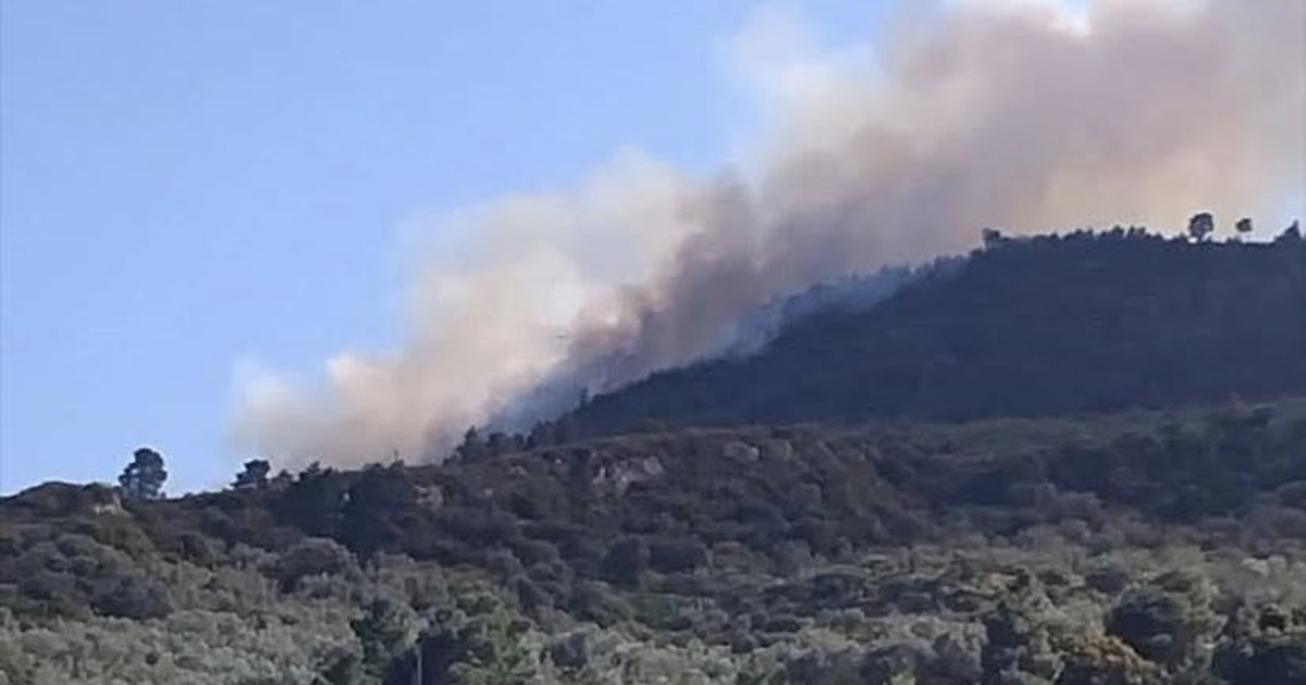 Φωτιά σε δάσος στην Άμπελο Αχαΐας: 112 για εκκένωση της περιοχής Άνω Ποροβίτσα - 