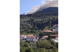 Συναγερμός στην Καστοριά για τηλεφωνικές απάτες – Θύμα ηλικιωμένη, εντοπίστηκαν στοιχεία για τον "εισπράκτορα"