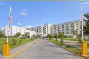 Ηλεία: Σοβαρός τραυματισμός 31χρονης μητέρας στη θάλασσα - Έκανε βουτιά και χτύπησε στον αυχένα