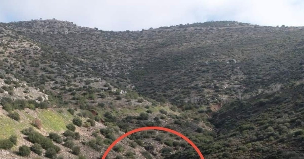 Ανω Γλυφάδα μετά την κακοκαιρία: "Δεν έχουμε ρούχα - Το νερό έφτασε το 1,60 - Κολύμπησαν για να σωθούν" [βίντεο] - εικόνα 2