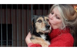 Μπριζίτ Μπαρντό: Πέθανε η θρυλική BB σε ηλικία 91 ετών - εικόνα 2