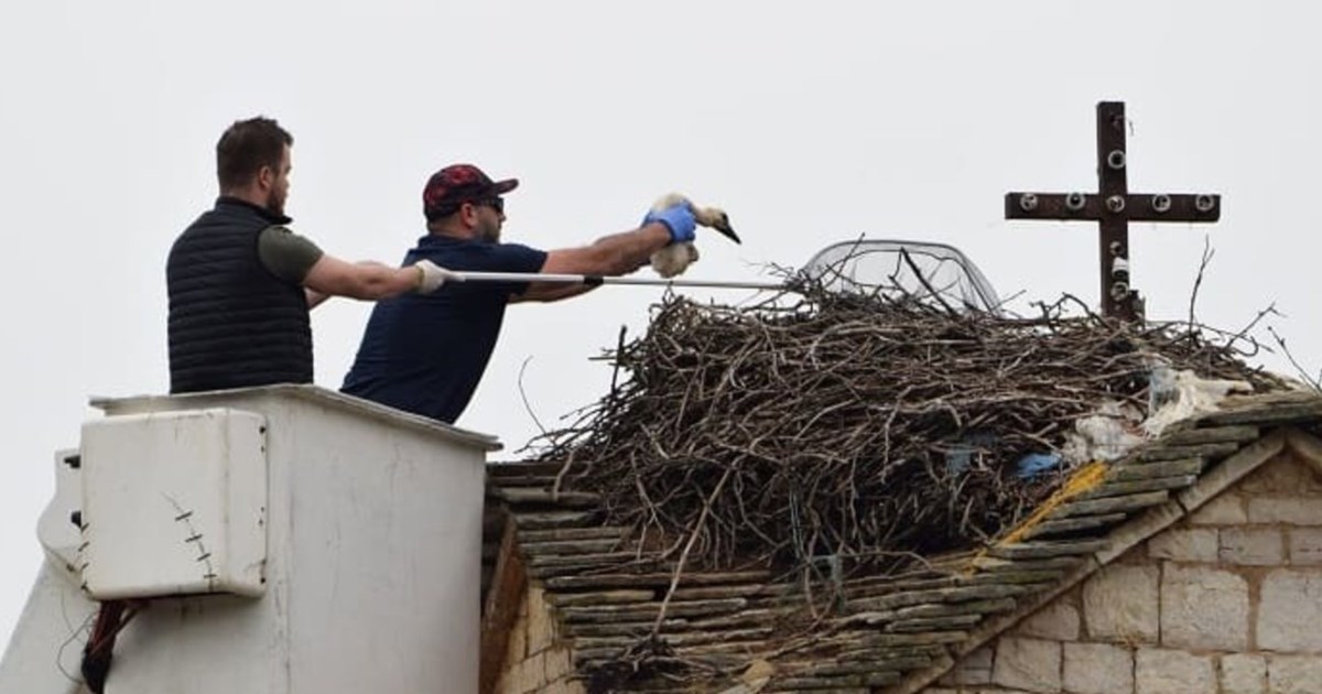 Δύτες καθαρίζουν από σκουπίδια τη λίμνη Ιωαννίνων- Βγάζουν τραπέζια και πλαστικές καρέκλες [εικόνες] - εικόνα 3