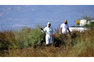 Ιός δυτικού Νείλου: Στο "κόκκινο" φέτος η Αττική - Τα συμπτώματα που πρέπει να προσέξετε - εικόνα 2