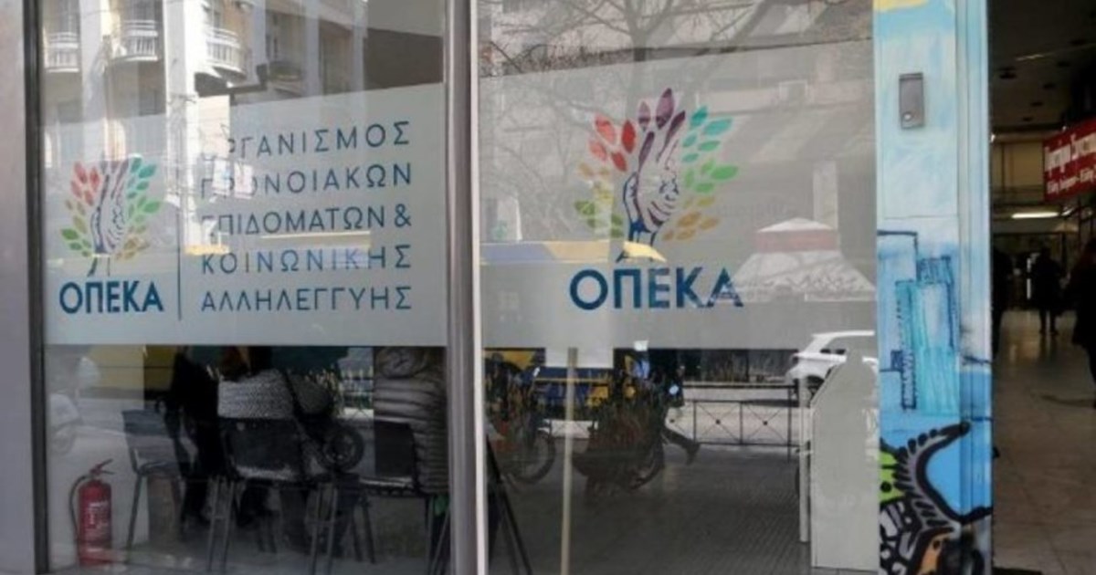 Αναστασία Χατζηδάκη: Tο στέλεχος του ΠΑΣΟΚ που εμπλέκεται στην υπόθεση με τα μαϊμού επιδόματα του ΟΠΕΚΑ - εικόνα 2