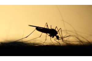 Κορονοϊός: 23 θάνατοι και 595 νέες εισαγωγές - Μειώνεται σταδιακά η κυκλοφορία του ιού