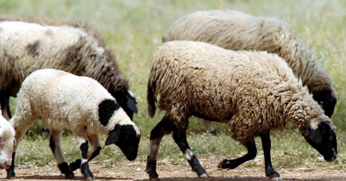 Τραγωδία στην Ουγκάντα: Τουλάχιστον 14 νεκροί από πτώση κεραυνού σε εκκλησία - Συγκεντρώθηκαν για να προσευχηθούν