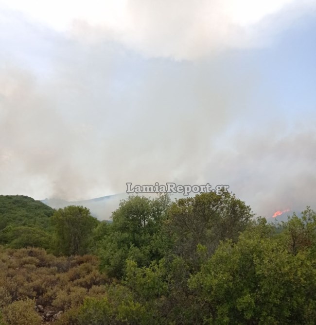 Φωτιά στην Ανατολική Φθιώτιδα
