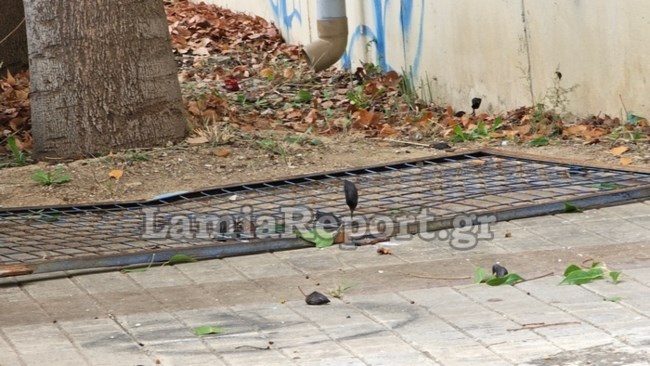 Σχολείο - Λαμία