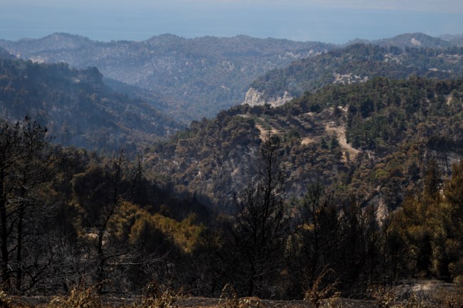 Βελτιώνεται η εικόνα της πυρκαγιάς στα Γεράνεια - Κυβερνητικό κλιμάκιο στο Αλεποχώρι την Κυριακή