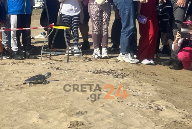 apeleftherosi-xelonas