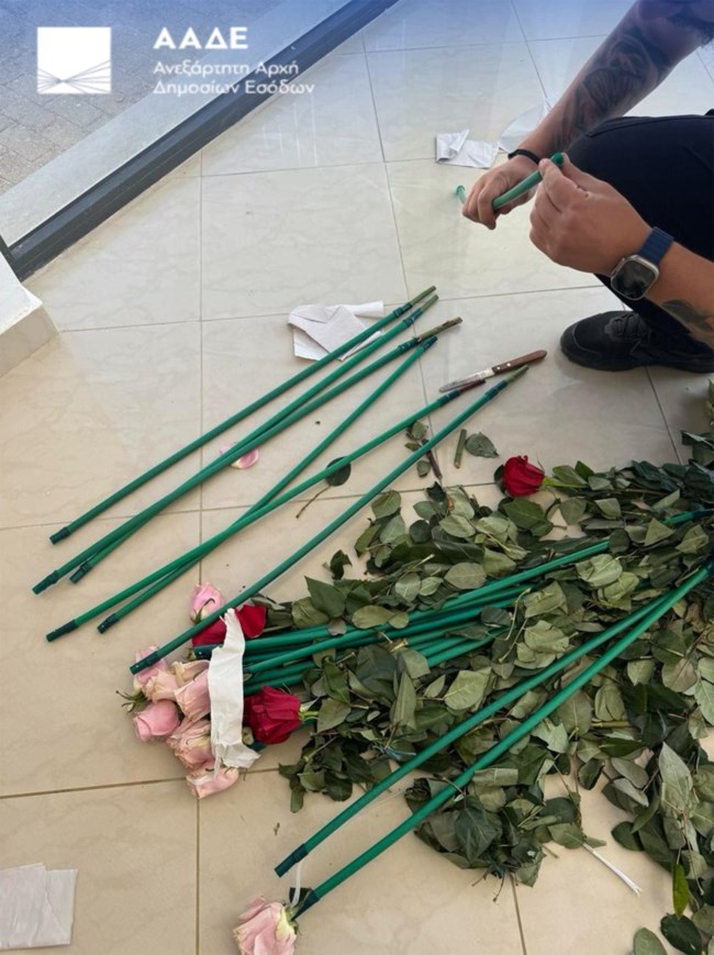 "Τα άνθη του κακού": Τα τριαντάφυλλα έκρυβαν 84 κιλά κοκαΐνης -Επιχείρηση της ΑΑΔΕ σε Αρτέμιδα και Μαραθώνα