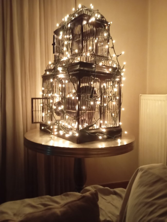 γατα χριστουγεννα