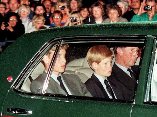 harry william