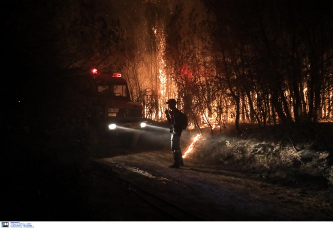 Φωτιά στην Αχαΐα: 300 πυροσβέστες στη σκληρή μάχη με τις φλόγες - Κάηκαν 20 σπίτια, 16 τραυματίες - Άνοιξαν οι Εθνικές Οδοί