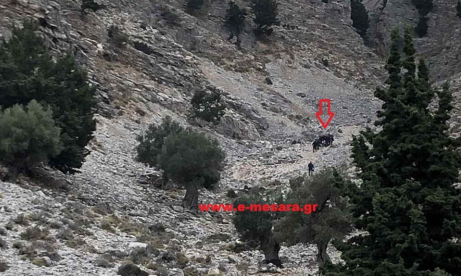 Απίστευτο: Αγνοούμενος βρέθηκε γυμνός στον Ψηλορείτη