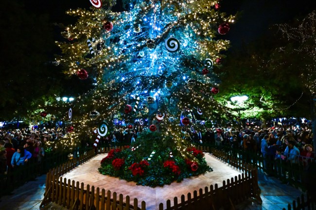 Η Αθήνα σε γιορτινό mood: Φωταγωγείται απόψε το χριστουγεννιάτικο δέντρο στο Σύνταγμα, εντυπωσιακός στολισμός σε όλη την πόλη