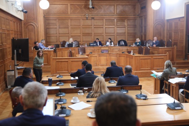 ΟΠΕΚΕΠΕ ΕΞΕΤΑΣΤΙΚΗ ΕΠΙΤΡΟΠΗ