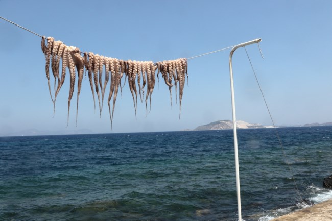 ΝΙΣΥΡΟΣ