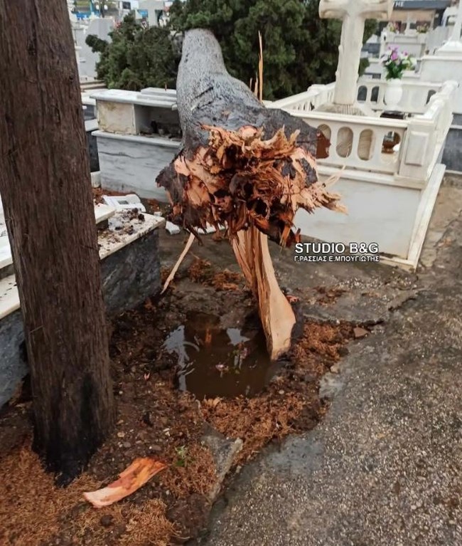 ΚΑΤΑΙΓΙΔΑ ΝΑΥΠΛΙΟ