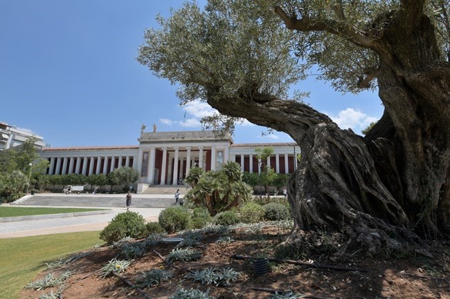 Νέο Εθνικό Αρχαιολογικό Μουσείο: Στόχος να αποκτήσει διεθνή διάσταση - Το αρχιτεκτονικό προσχέδιο
