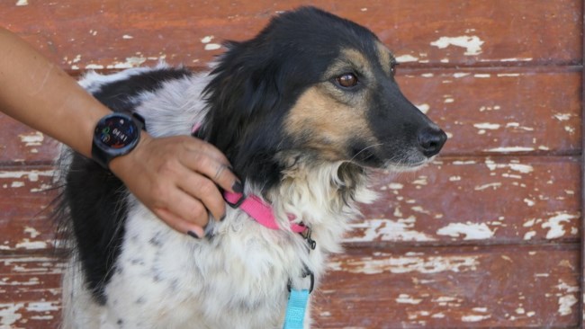 Αυτή είναι η Λόις: Όσο πιο πολύ αγχωμένη είναι, τόσο πιο πολύ χαμογελάει - Μαθαίνει να συνυπάρχει χωρίς να φοβάται