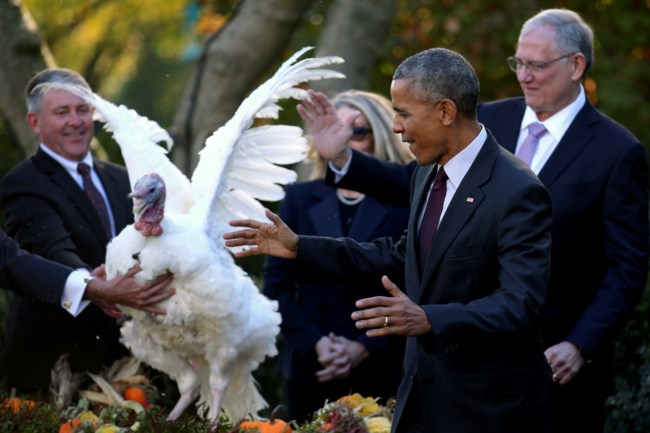 obama