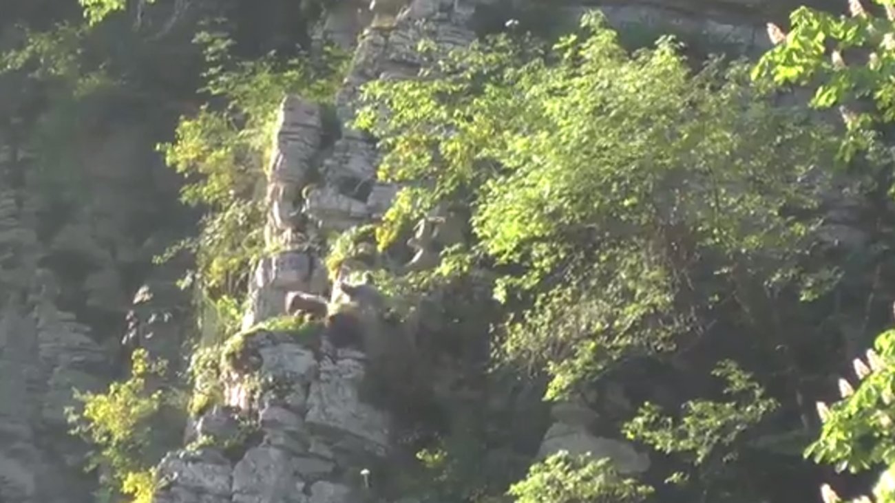 Όρος Δίρφυς: Επιχείρηση εντοπισμού και διάσωσης για τραυματισμένη γυναίκα