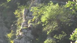 Όρος Δίρφυς: Επιχείρηση εντοπισμού και διάσωσης για τραυματισμένη γυναίκα