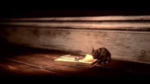 Πέθανε ο ήρωας αρουραίος Μαγκάουα που βοήθησε στην εκκαθάριση ναρκοπεδίων στην Καμπότζη - εικόνα 3