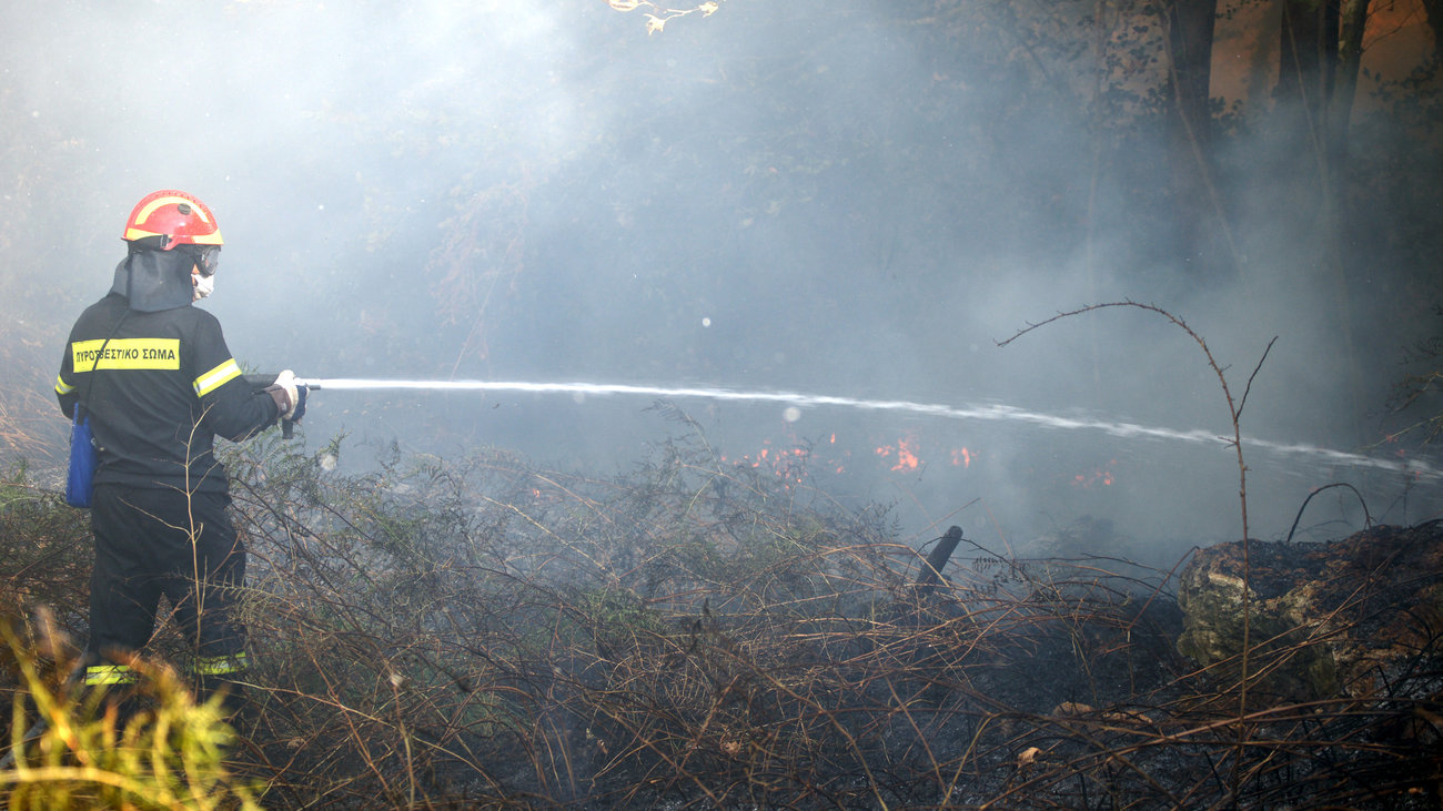 Φωτιά στο Βασιλίτσι Μεσσηνίας - Εκκενώνεται προληπτικά ο οικισμός [βίντεο]
