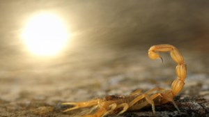 Κατακλυσμός στον Καναδά: 18.000 άνθρωποι έχουν παγιδευτεί από τις πλημμύρες - Εικόνες καταστροφής