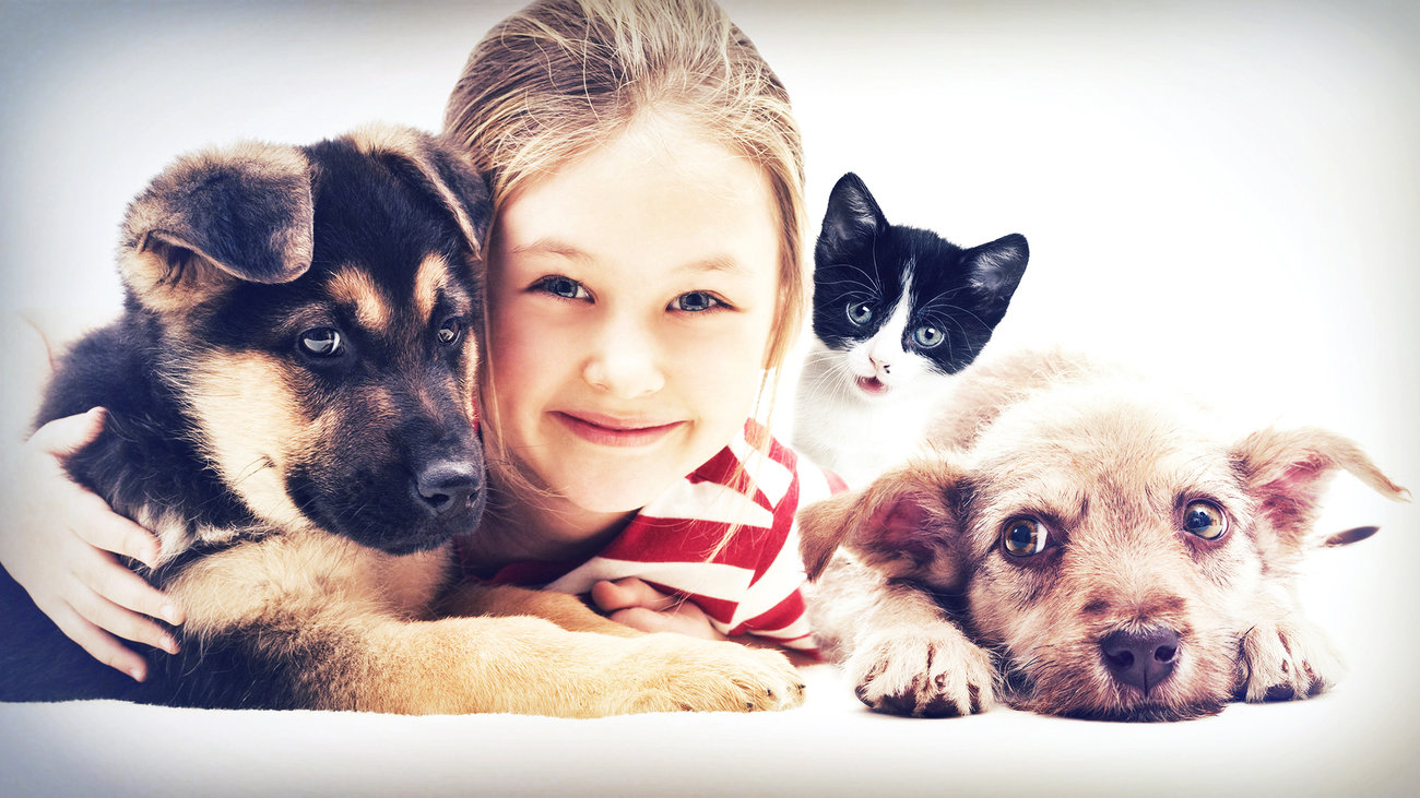 Κτηνωδία στα Χανιά: Σε διαθεσιμότητα ο υπάλληλος της ΔΕΗ που έκοψε τα γεννητικά όργανα του σκύλου - εικόνα 4