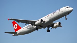 Turkish Airlines: Κοριοί σε πτήσεις της εταιρείας - Καταγγελίες επιβατών για επανειλημμένα τσιμπήματα - Επεφταν από την οροφή