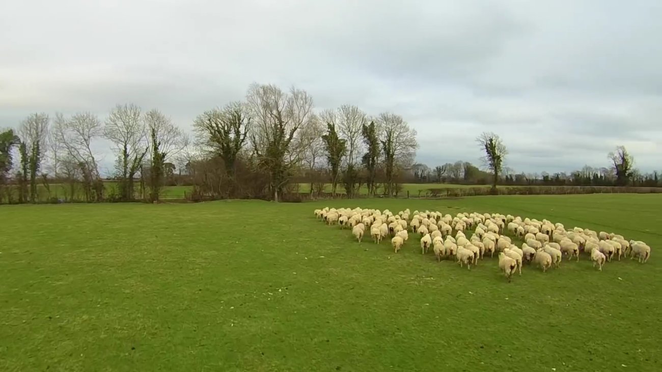 Θανάσης Λιούτας: Δημοσίευμα εμπλέκει την οικογένειά του στο σκάνδαλο ΟΠΕΚΕΠΕ - Διαψεύδει ο βουλευτής Τρικάλων
