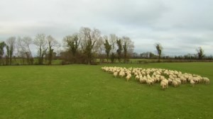 Θανάσης Λιούτας: Δημοσίευμα εμπλέκει την οικογένειά του στο σκάνδαλο ΟΠΕΚΕΠΕ - Διαψεύδει ο βουλευτής Τρικάλων