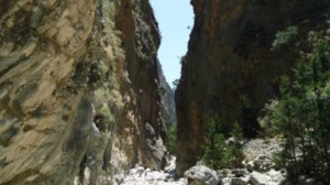 Εξαφάνιση Κρήτη:"Ο αδερφός μου είναι προπονημένος πεζοπόρος, σε καλή φυσική κατάσταση"  - Τι λέει η αδερφή του 21χρονου - εικόνα 5