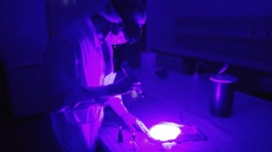 Θρίλερ στα εγκληματολογικά εργαστήρια της ΕΛΑΣ: Μεθυσμένος με όπλο προσπάθησε να μπει στο κτίριο