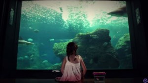 Κρήτη: Είπε το "ναι" στην απίστευτα ρομαντική πρόταση γάμου με φόντο τον βυθό του ενυδρείου