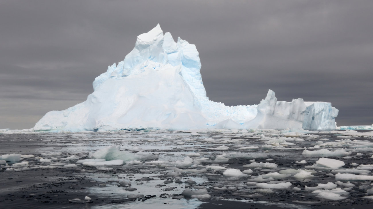 Το "αλλήθωρο" καλαμάρι-φράουλα: Έχει ένα μικρό μαύρο μάτι κι ένα τεράστιο κίτρινο [βίντεο] - εικόνα 2