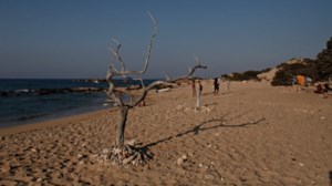 Θρίλερ στο Παλαιό Φάληρο: Βρέθηκε σορός γυναίκας κοντά στην ακτή - Είχε τομή στην κοιλιά