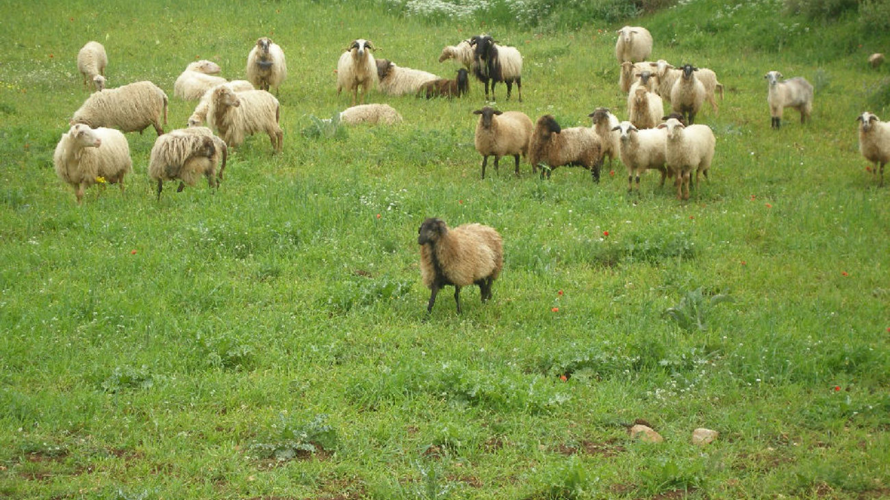 Μητσοτάκης: Εξασφαλίζουμε ότι τα επόμενα 30 χρόνια η Αττική δεν θα έχει πρόβλημα υδροδότησης - εικόνα 2
