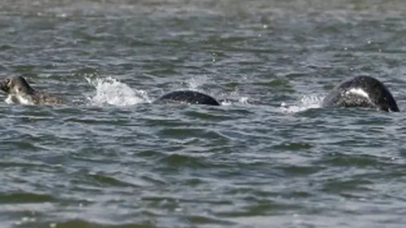 Σκωτία: Σε εξέλιξη η μεγαλύτερη έρευνα για τα "μυστικά" που κρύβει η λίμνη Λοχ Νες [βίντεο]