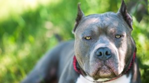 Κάθειρξη 19 ετών σε νεαρό αλλοδαπό για απόπειρα βιασμού και ληστεία εις βάρος φοιτήτριας