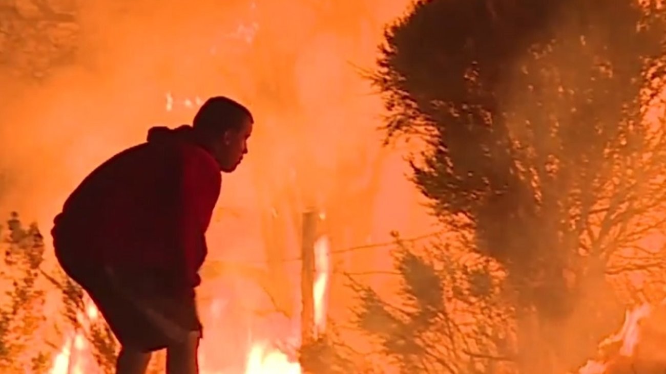 Eννέα πράγματα που πρέπει να γνωρίζετε πριν αποκτήσετε κατοικίδιο κουνέλι: Χρειάζονται περισσότερα από... καρότα - εικόνα 7