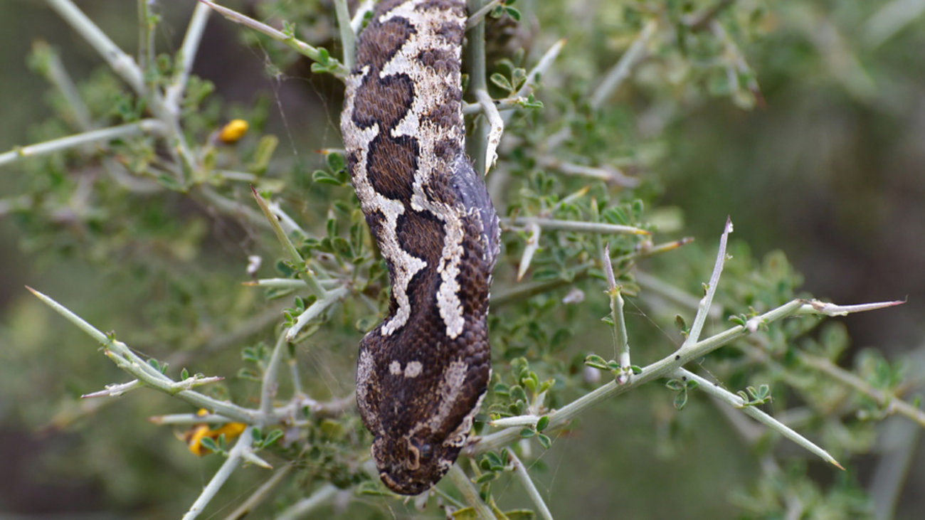 Αλλάζει η ώρα την ερχόμενη Κυριακή 30 Οκτωβρίου