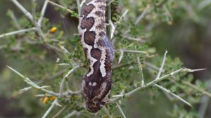 Αλλάζει η ώρα την ερχόμενη Κυριακή 30 Οκτωβρίου